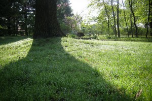 Dewy lawn - © Doug Letterman, Flickr